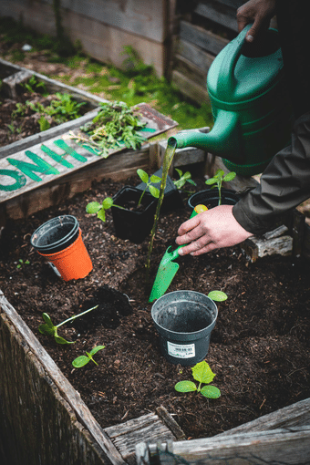 (CU) Gardening With Children: A Hands On Approach To Nature And Learning