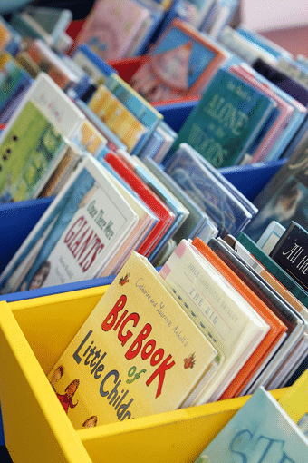 Introducing Developmentally Appropriate Literature to Young Children