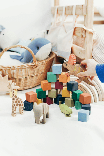 Designing Developmentally Appropriate Toys and Activities